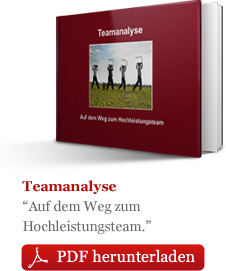 Teamanalyse - Auf dem Weg zum Hochleistungsteam
